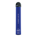 Blueberry Mint Fume Ultra