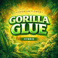 Gorilla Glue - Cannabis Flower
