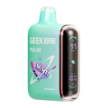 StoneMintz Geek Bar 15,000 Puffs