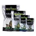 OPMS Super Green Borneo Capsules [60-480]