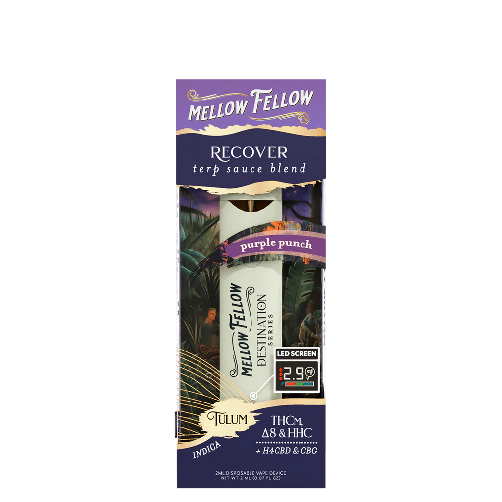 Recover Blend - Terp Sauce 2ml Disposable Vape - Purple Punch (Indica)